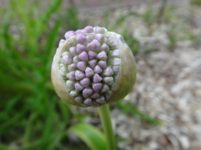 DSC00844 (Kopie).JPG