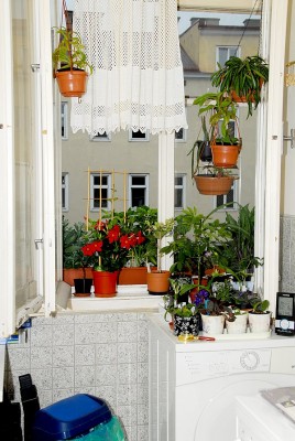 dsc_0038_Kueche.jpg