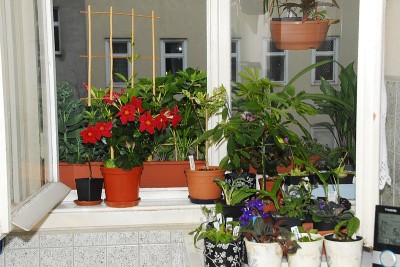 dsc_0040_Kueche.jpg