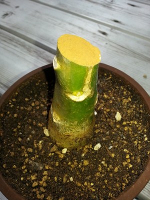 20130624_181829.jpg