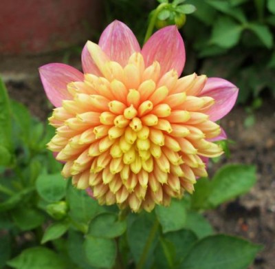 Photo4.jpg
