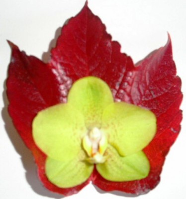 PICT0457.JPG