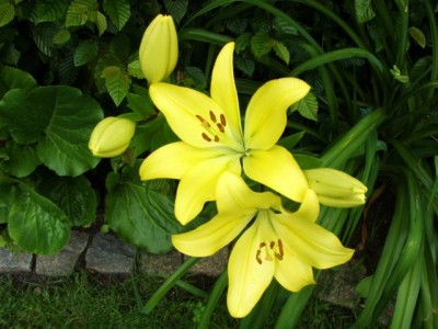 Photo2.jpg