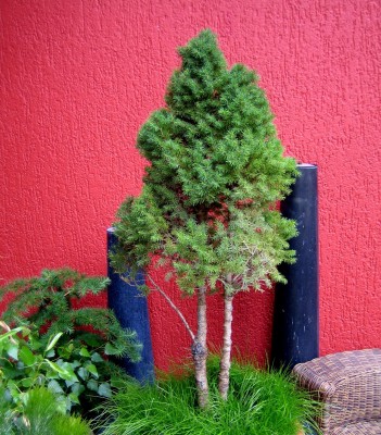 Garten-2013-0700.jpg