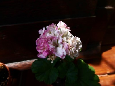K640_P1000083.JPG