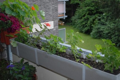 Balkon2013 171yy.jpg