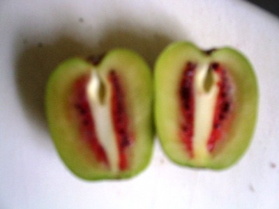 PICT0464.JPG