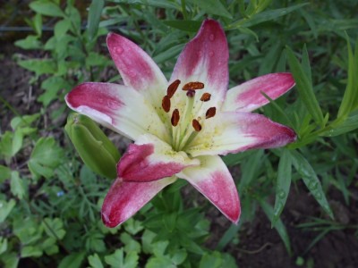Kopie von DSCI0546.JPG
