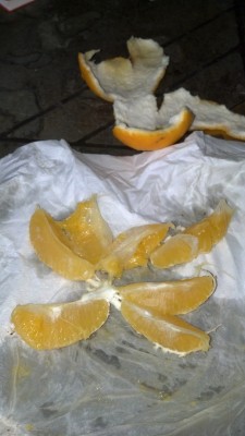 IMG_20130629_134943_753.jpg