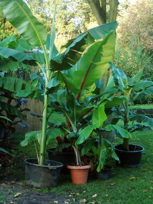 Bilder vom 09.10.07 027.jpg