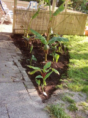 Bilder vom 04.05.2007 005.jpg