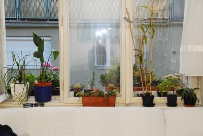 dsc_0049_Wohnzimmer.jpg