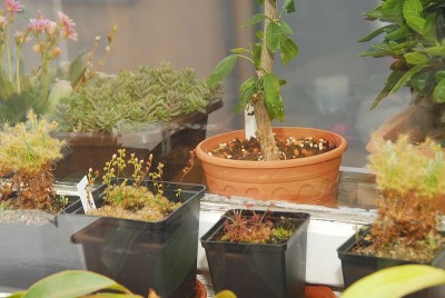dsc_0051_Wohnzimmer.jpg