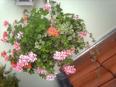 K640_IMAG3356.JPG