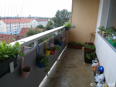 Balkon_13_06_29_ende.JPG