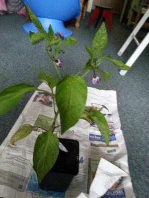 20130628_172028.jpg
