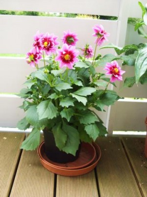 Photo3.jpg