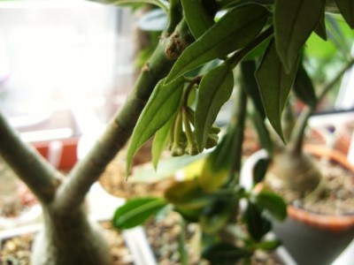 Photo5.jpg