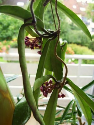 Photo4.jpg