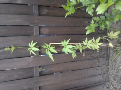 2013-06-30 21.00.02.jpg