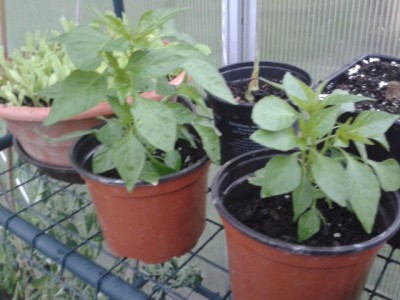 2013-06-30 20.57.50.jpg