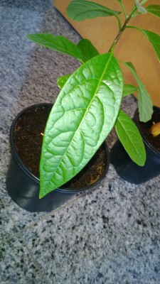 WP_20130701_003.jpg