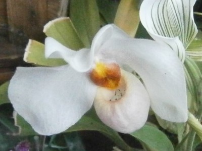 P9010561 (640x478).jpg