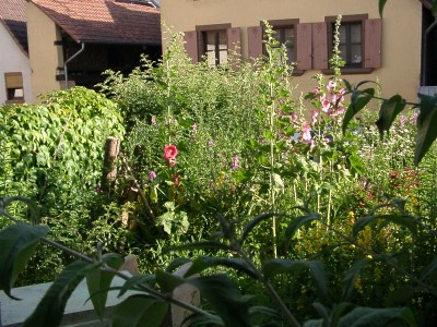 zweifarben.JPG