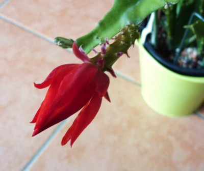 Photo14.jpg