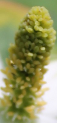 Rätsel juli neu.jpg