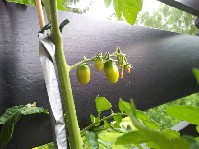 20130703_173756.jpg