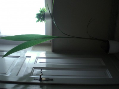 CIMG0867.JPG