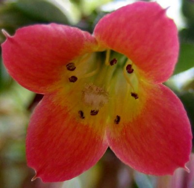 2013-1-0912.jpg