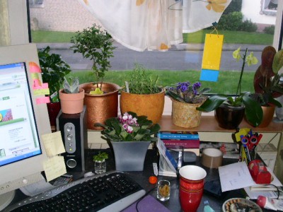 PICT0448.JPG
