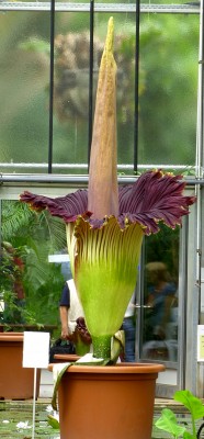 P1150388 verkleinert.jpg