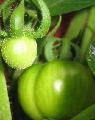2013-1 126.jpg
