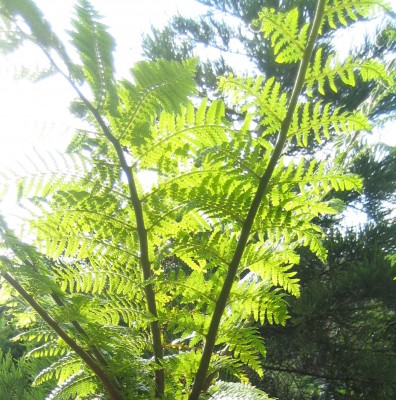 2013-1 138.jpg