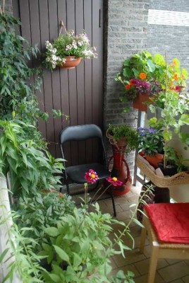 Balkon2013 218yy.jpg