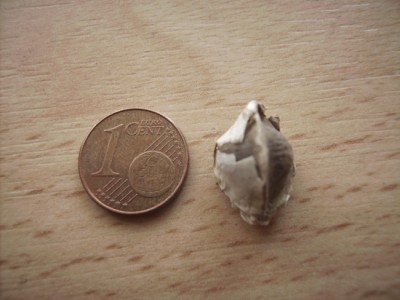 PICT2622.JPG