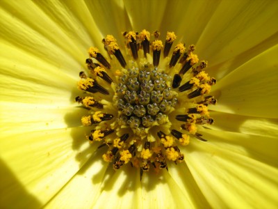 IMG_0690.JPG