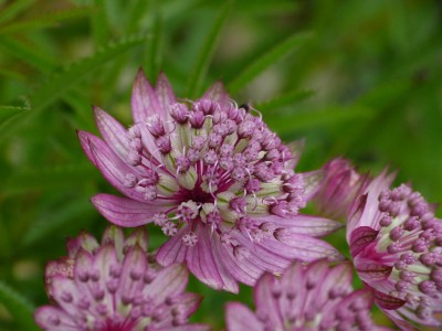 K1600_P1250662.JPG