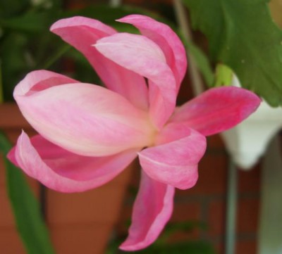 Photo9.jpg