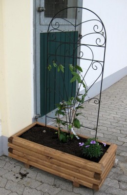 Blumenkasten_9026.jpg