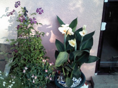 IMG029.JPG