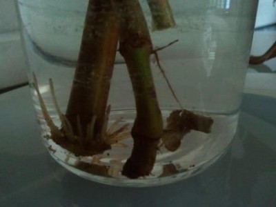 2013-07-08 13.28.20.jpg