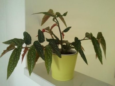 2013-07-08 12.08.37.jpg