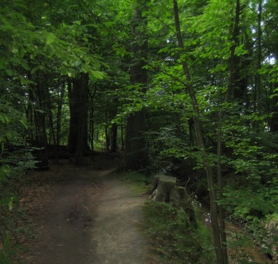 2013-1 203.jpg