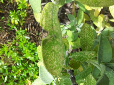 20130710_123130.jpg