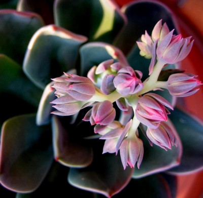 2013-1-2751.jpg