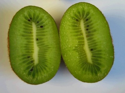 Kiwi.jpg